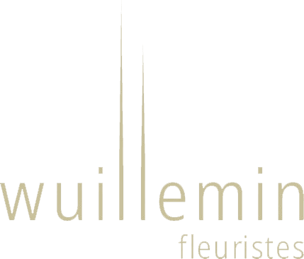 Logo-Wuillemin-Beige