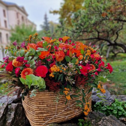 Brise des Indes XL basket